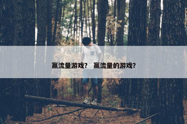 赢流量游戏？ 赢流量的游戏？