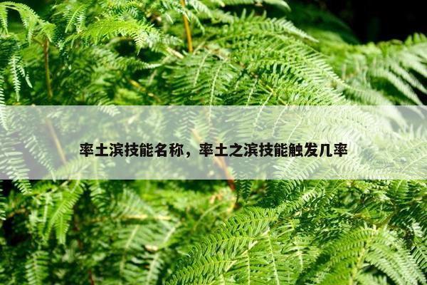 率土滨技能名称，率土之滨技能触发几率