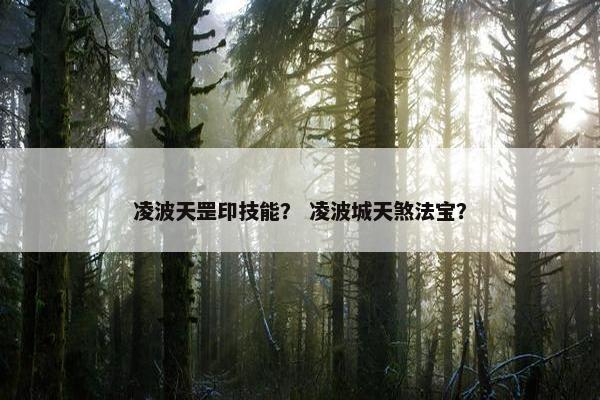 凌波天罡印技能？ 凌波城天煞法宝？