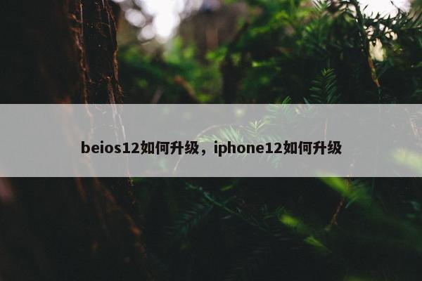 beios12如何升级，iphone12如何升级