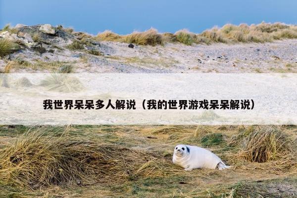 我世界呆呆多人解说（我的世界游戏呆呆解说）