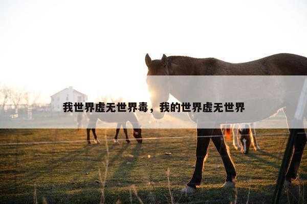 我世界虚无世界毒，我的世界虚无世界