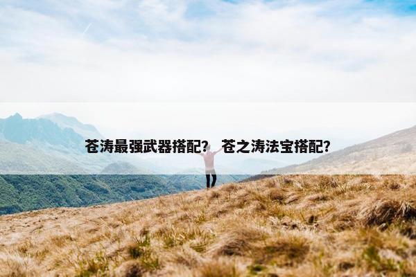 苍涛最强武器搭配？ 苍之涛法宝搭配？