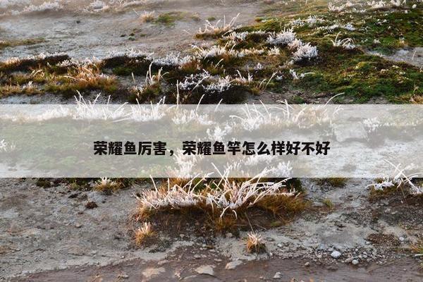 荣耀鱼厉害，荣耀鱼竿怎么样好不好