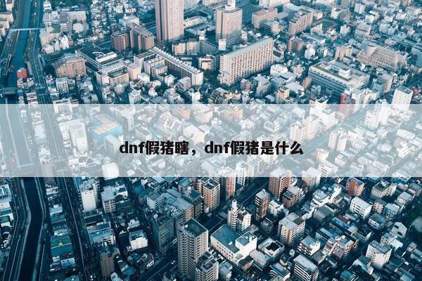 dnf假猪瞎，dnf假猪是什么