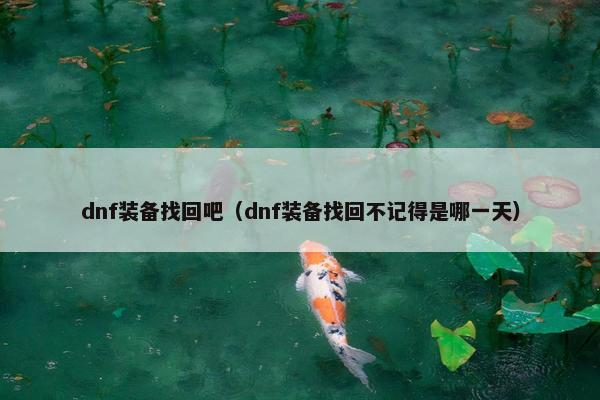 dnf装备找回吧（dnf装备找回不记得是哪一天）