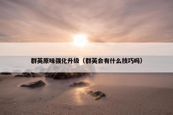 群英原味强化升级（群英会有什么技巧吗）
