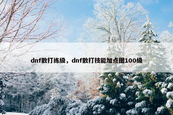 dnf散打练级，dnf散打技能加点图100级