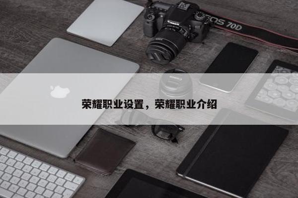 荣耀职业设置，荣耀职业介绍