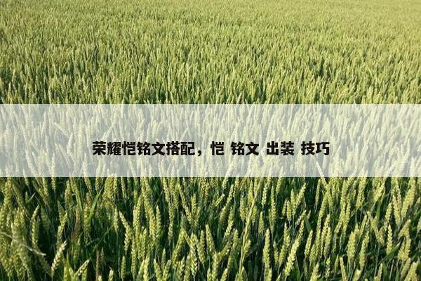 荣耀恺铭文搭配，恺 铭文 出装 技巧