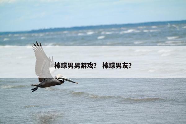 棒球男男游戏？ 棒球男友？