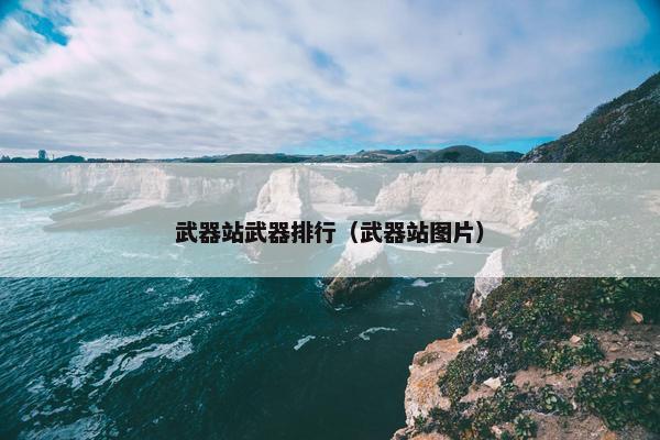 武器站武器排行（武器站图片）