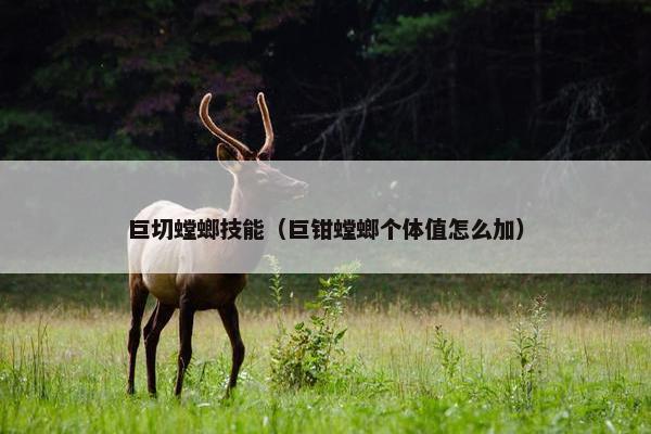 巨切螳螂技能（巨钳螳螂个体值怎么加）