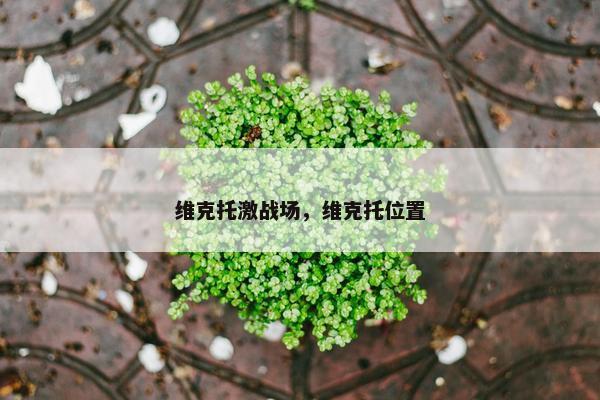 维克托激战场，维克托位置