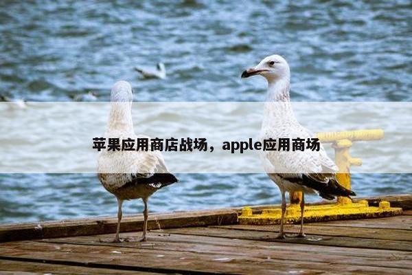 苹果应用商店战场，apple应用商场