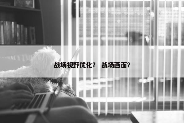 战场视野优化？ 战场画面？