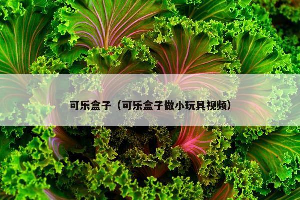 可乐盒子（可乐盒子做小玩具视频）
