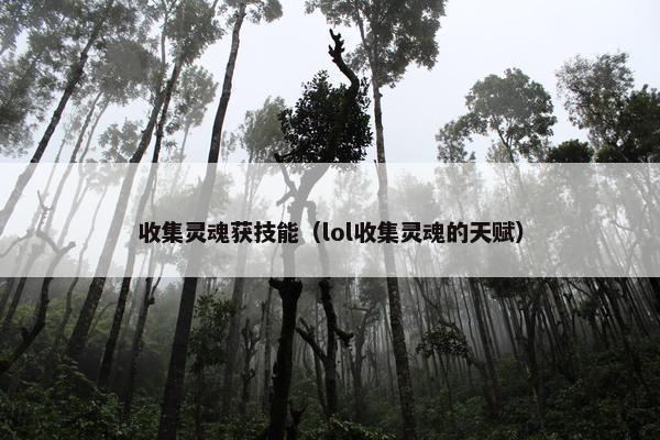 收集灵魂获技能（lol收集灵魂的天赋）