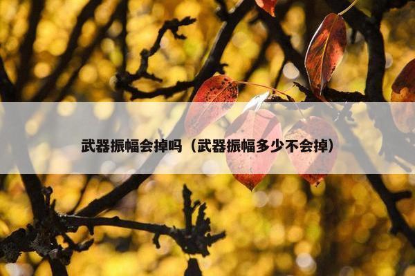 武器振幅会掉吗（武器振幅多少不会掉）