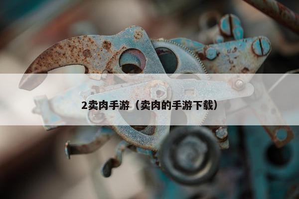 2卖肉手游（卖肉的手游下载）