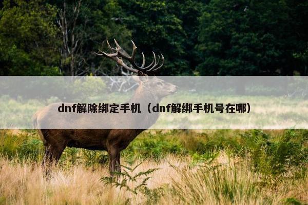 dnf解除绑定手机（dnf解绑手机号在哪）