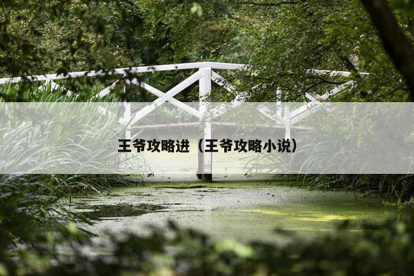 王爷攻略进（王爷攻略小说）