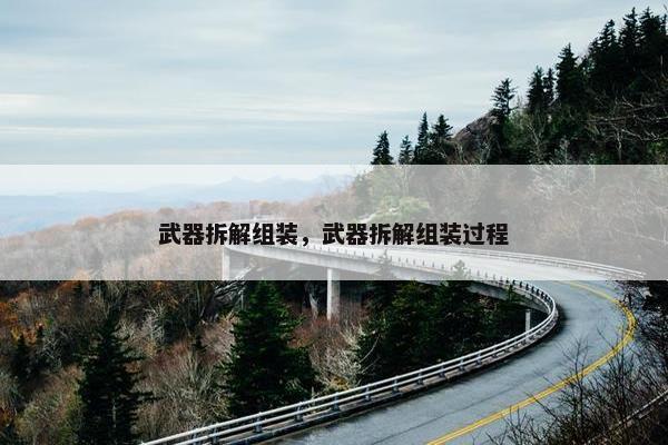 武器拆解组装，武器拆解组装过程