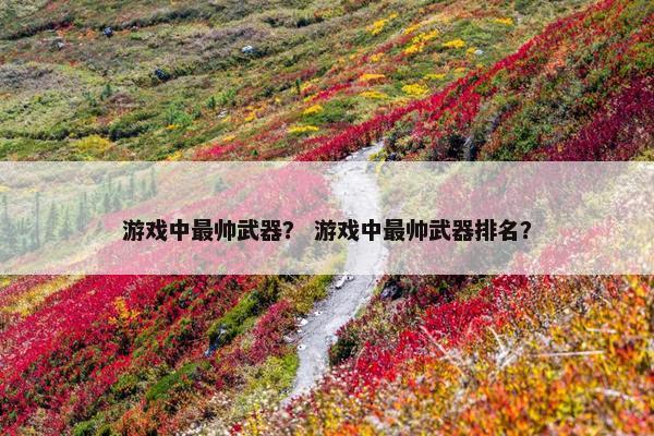 游戏中最帅武器？ 游戏中最帅武器排名？