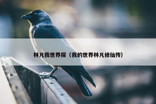 林凡我世界探（我的世界林凡修仙传）