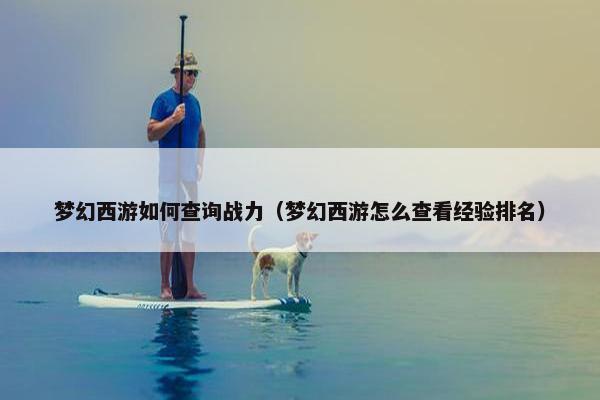梦幻西游如何查询战力（梦幻西游怎么查看经验排名）