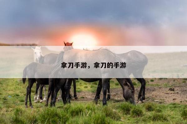 拿刀手游，拿刀的手游