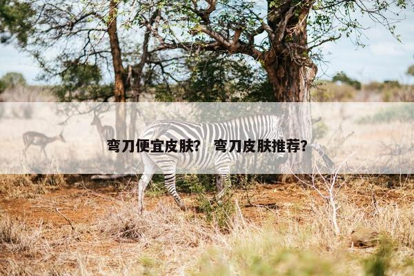 弯刀便宜皮肤？ 弯刀皮肤推荐？