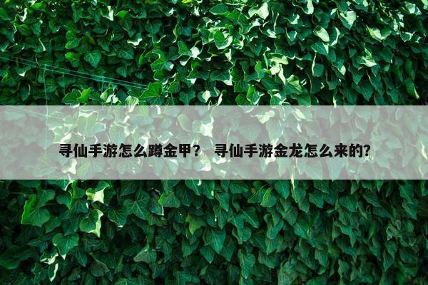 寻仙手游怎么蹲金甲？ 寻仙手游金龙怎么来的？