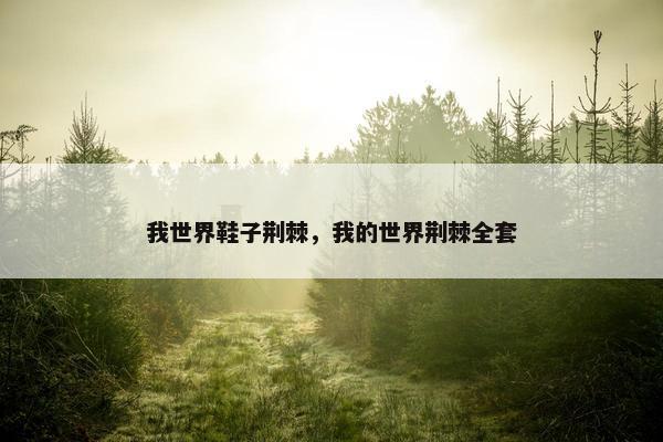 我世界鞋子荆棘，我的世界荆棘全套