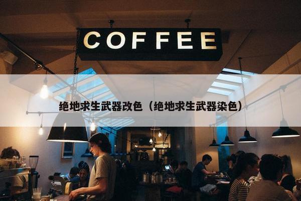 绝地求生武器改色（绝地求生武器染色）