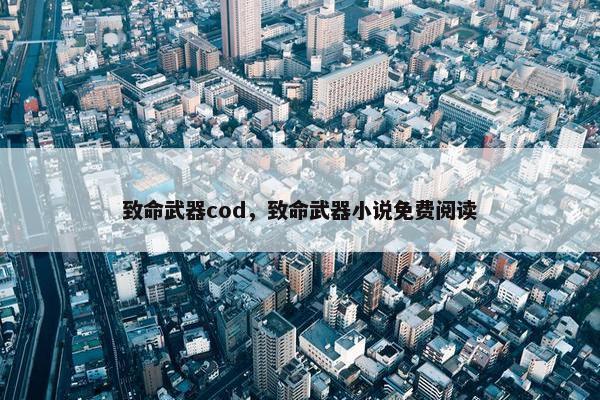 致命武器cod，致命武器小说免费阅读