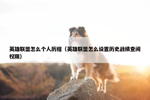 英雄联盟怎么个人历程（英雄联盟怎么设置历史战绩查阅权限）
