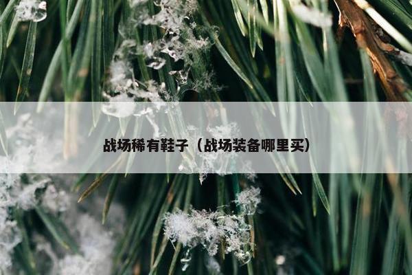 战场稀有鞋子（战场装备哪里买）