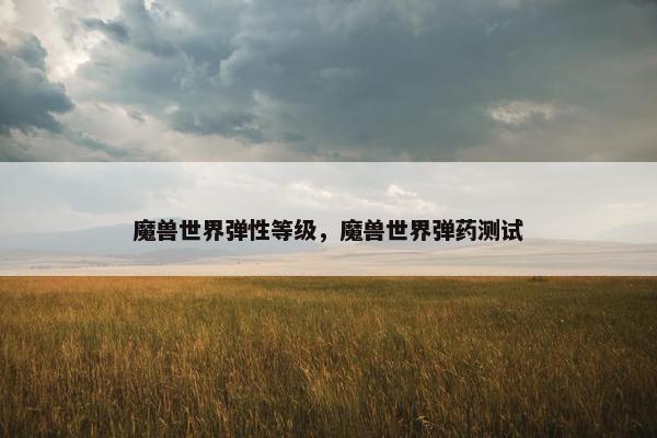 魔兽世界弹性等级，魔兽世界弹药测试