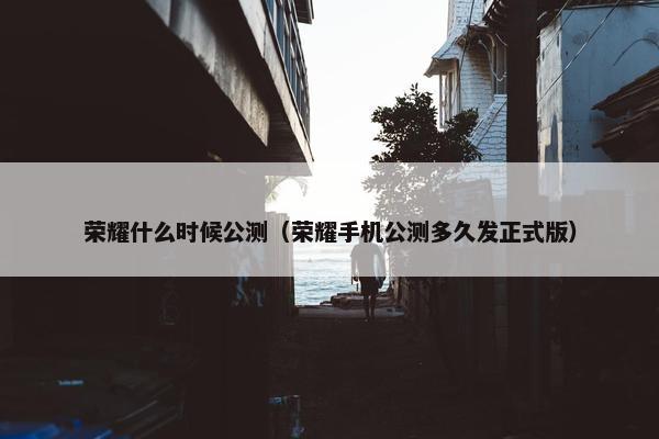 荣耀什么时候公测（荣耀手机公测多久发正式版）