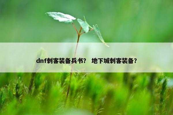dnf刺客装备兵书？ 地下城刺客装备？