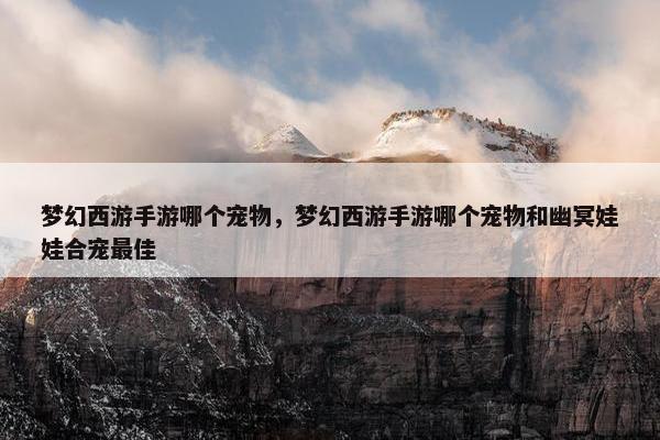 梦幻西游手游哪个宠物，梦幻西游手游哪个宠物和幽冥娃娃合宠最佳