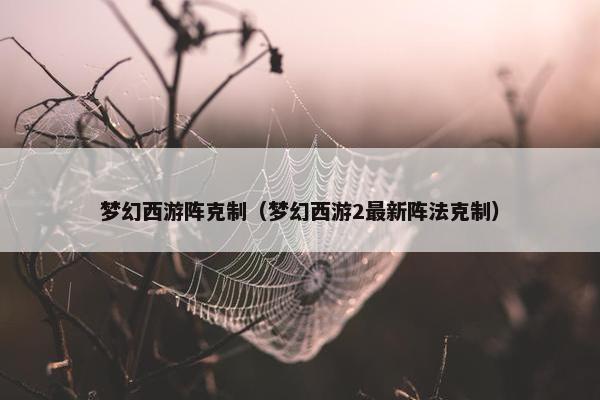 梦幻西游阵克制（梦幻西游2最新阵法克制）
