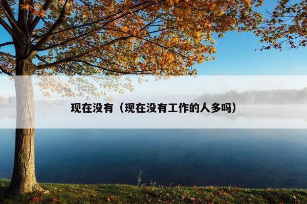 现在没有（现在没有工作的人多吗）
