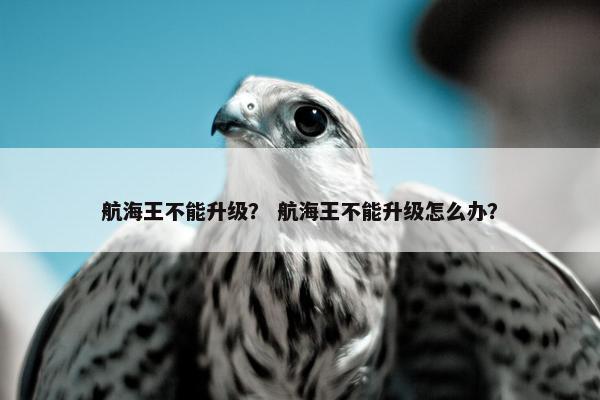 航海王不能升级？ 航海王不能升级怎么办？