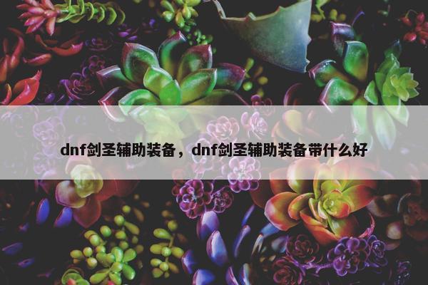 dnf剑圣辅助装备，dnf剑圣辅助装备带什么好