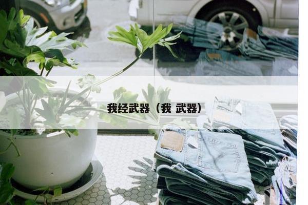 我经武器（我 武器）