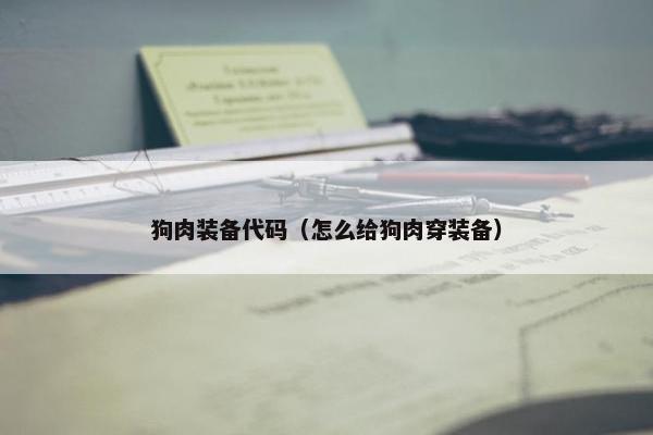 狗肉装备代码（怎么给狗肉穿装备）