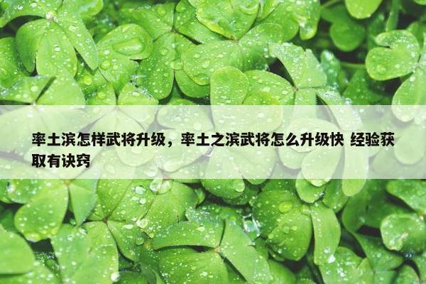 率土滨怎样武将升级，率土之滨武将怎么升级快 经验获取有诀窍