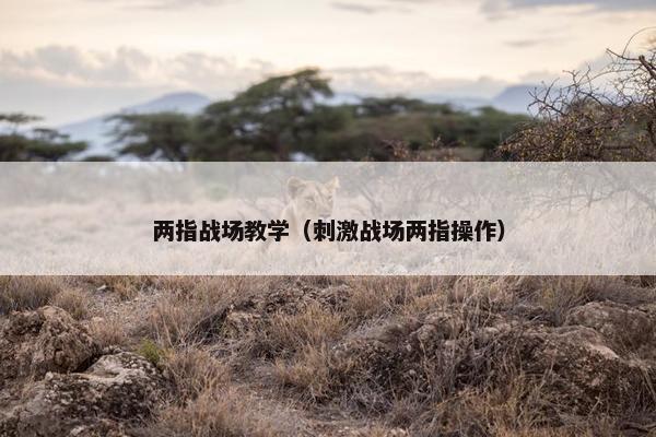 两指战场教学（刺激战场两指操作）